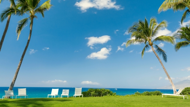 半岛bandao体育田径器材包括哪些项目